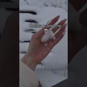 Ау Виктория Княжеская