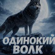 Леха Бергал Большой Сборник