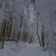 Леонид Щербина Всю Ночь Пыхтел Кондитер Ветер