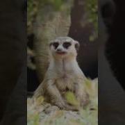 Вы Чё Спите Что Ли