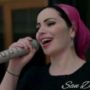 Воли Хьастахь Жима Дог Са