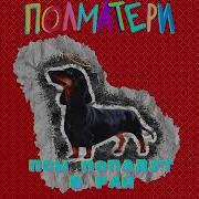 Псы Попадут В Рай Ремикс