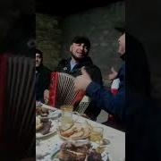 Даргинская Песня На Аккордеоне