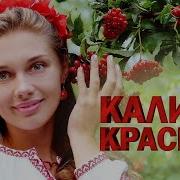 Русская Народная Калина Красная