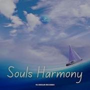 Souls Harmony Taoufik