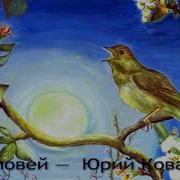 Юрий Коваль Соловьи