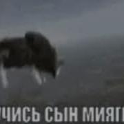 Учись Сын Мияги