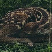 Villain And Violent Slowed