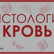 Гп Кровь