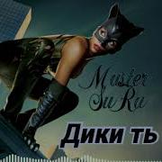 Мастер Сура Дики Ть