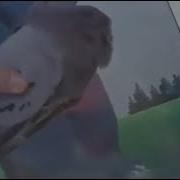 Как Живой Но Не Живой