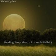 Silent Rhythm Back To Sleep