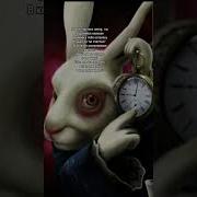 Песня Зайца Из Тик Тока