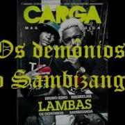 Os Lambas Dança Zema
