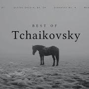 Collection Orchestral Music