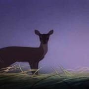 Bambi The Medows