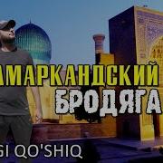 Самаркандский Бродяга
