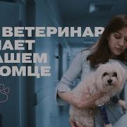 Ветеринария