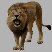 Кружков Ррры