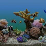 Мелодии Для Плавающих Рыбок