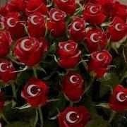 Dj Onur Ergin Remix2020