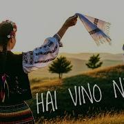Hai Vino Neicuta