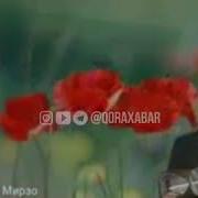 Келсагар Наврузи Олам