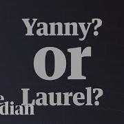 Yanny Laurel