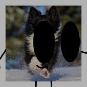 Hole In The My Tooth Bfb