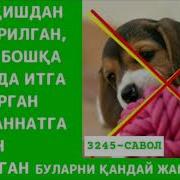 Итга Берган Аёл
