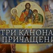 Каноны Перед Причастием Аудио