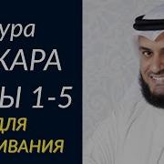 Бақара Сураси 5 Ояти