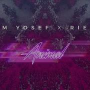 Jim Yosef Animal