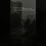 Вы Принимали Морфин