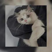 Justin Bieber Ghost Speed Up