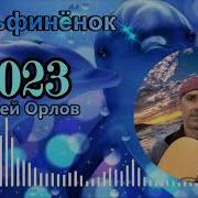 Сергей Орлов Дельфинёнок
