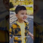 Дадам Бор Яшаш Мазза