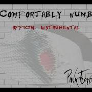 Comfortably Numb Instrumental