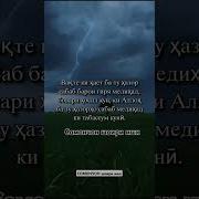 Вакте Ки Хурди Оша Аз Болош Манту Боша