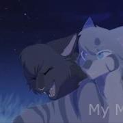 Коты Воители Миру Мир