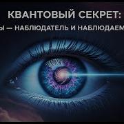 Наблюдатель Осознанность