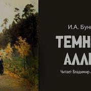 Бунин Темные Аллеи