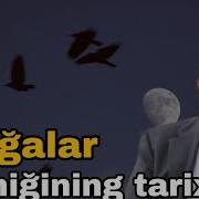 Каргаллар Кушиги Сикачпт