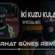 Iki Kuzu Kulağı
