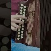 Песня Авыл Кое На Гармошке