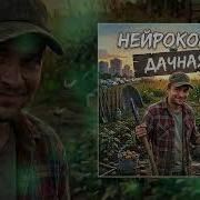 Нейроколян Дачная