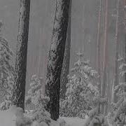 Шум Зимнего Леса