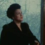 Астры Осенние