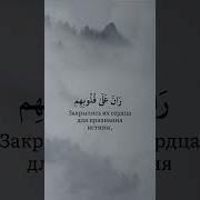 Абу Хатим Чтец