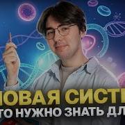 Биология Половая Система Огэ